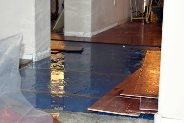 Professional Basement Flood Cleanup technician working in Dexter, MI