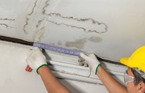 Reliable Basement Flood Cleanup contractor in Dexter, MI by Aqua Guard Water Damage